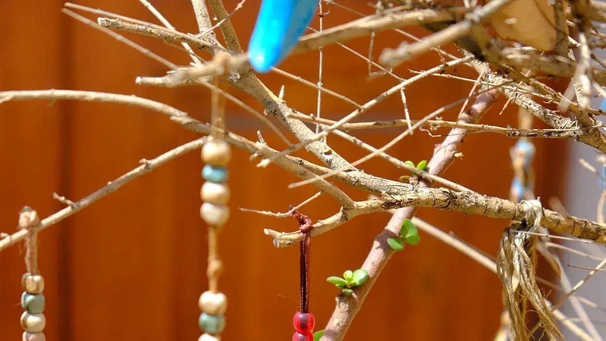 Des perles en bois sont suspendues à une branche nue et ensoleillée.