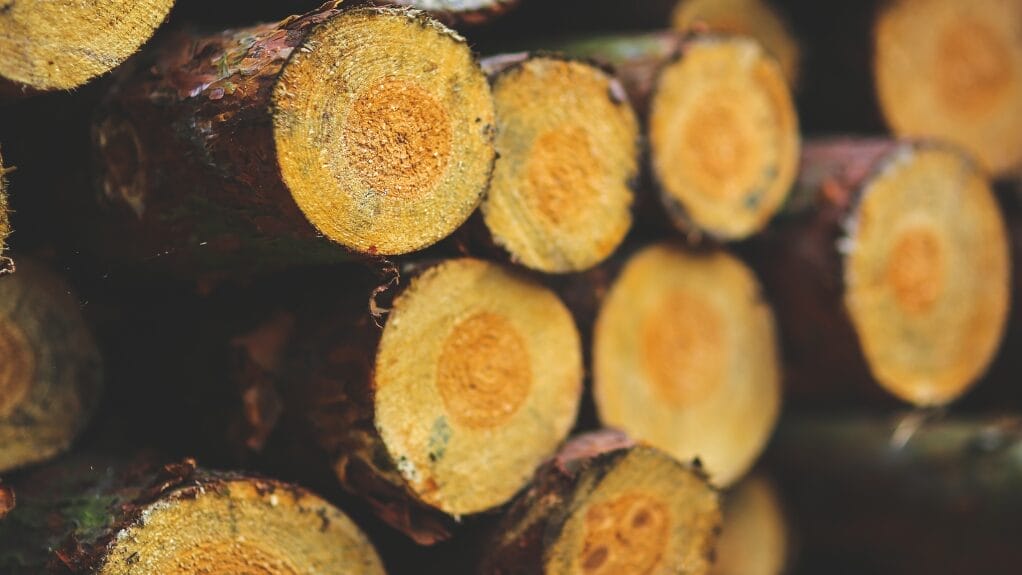 Bois de bûches coupées, idéales pour l'artisanat du bois.